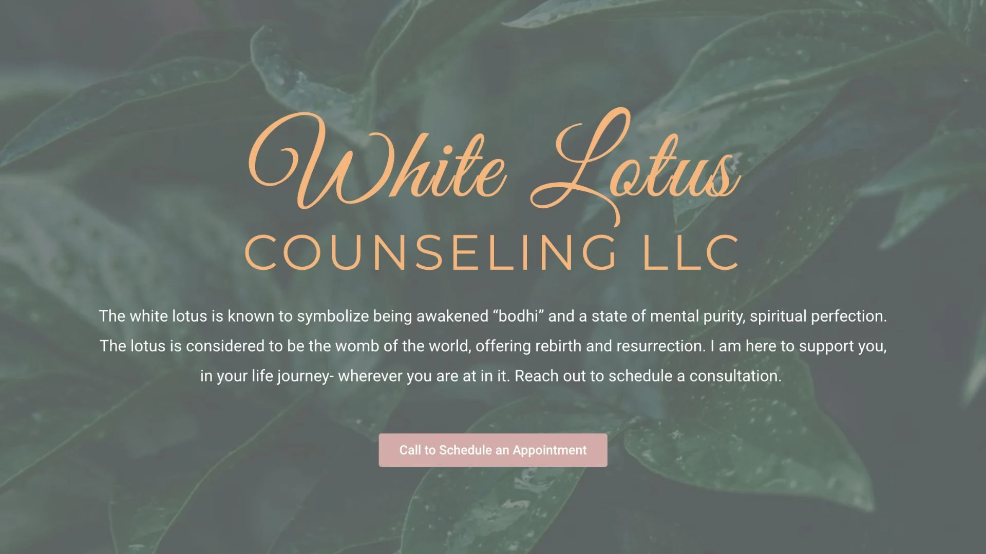 Stinky Dog SEO_portfolio (1)